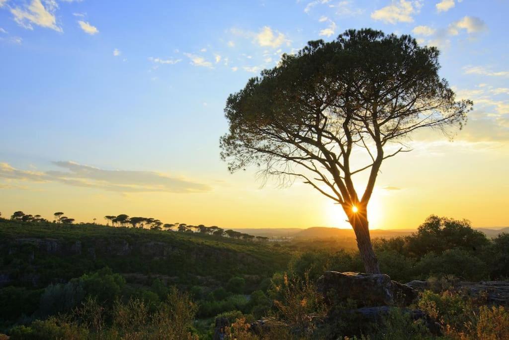 Orange Sunset Lejlighed Draguignan Eksteriør billede